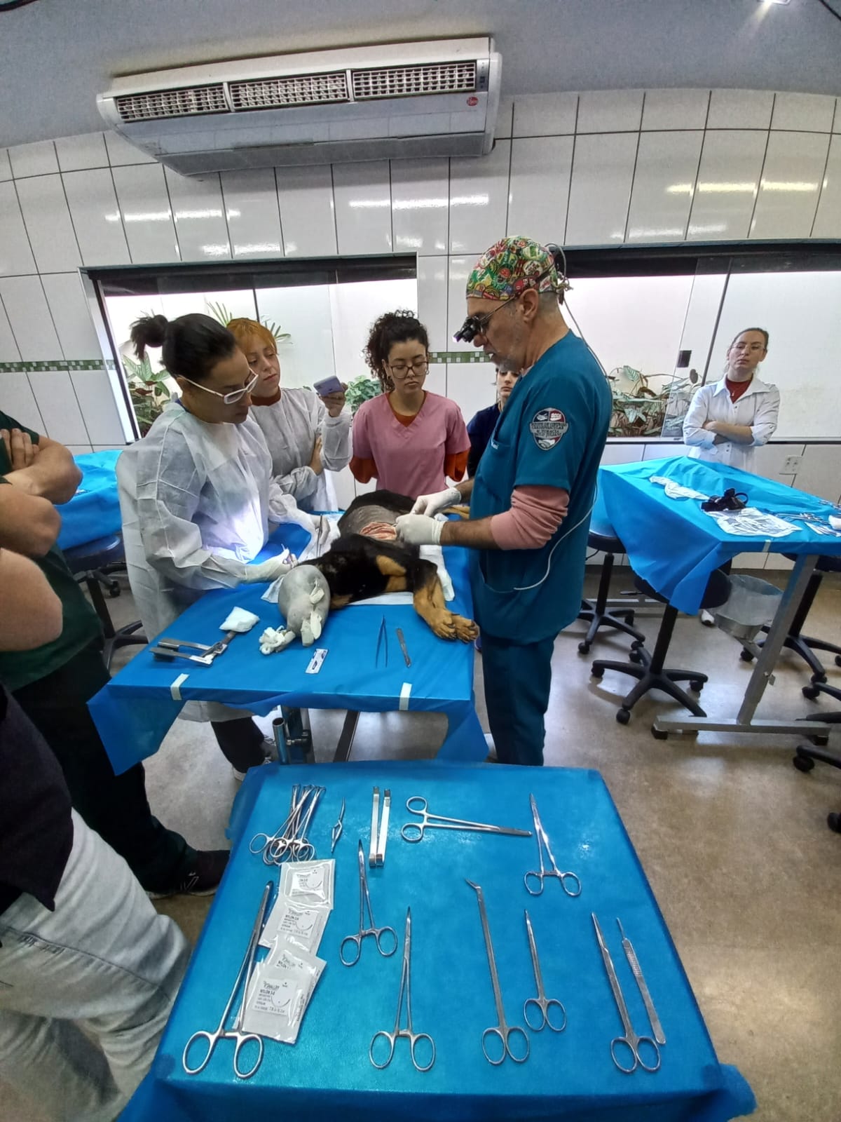 curso-teorico-pratico-de-cirurgia-cardiotoracica-veterinaria