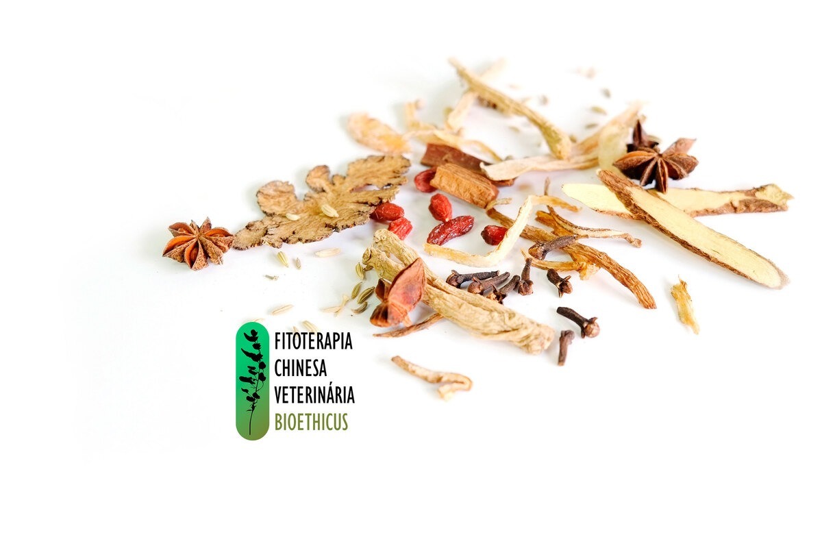 curso-de-formacao-em-fitoterapia-chinesa-veterinaria