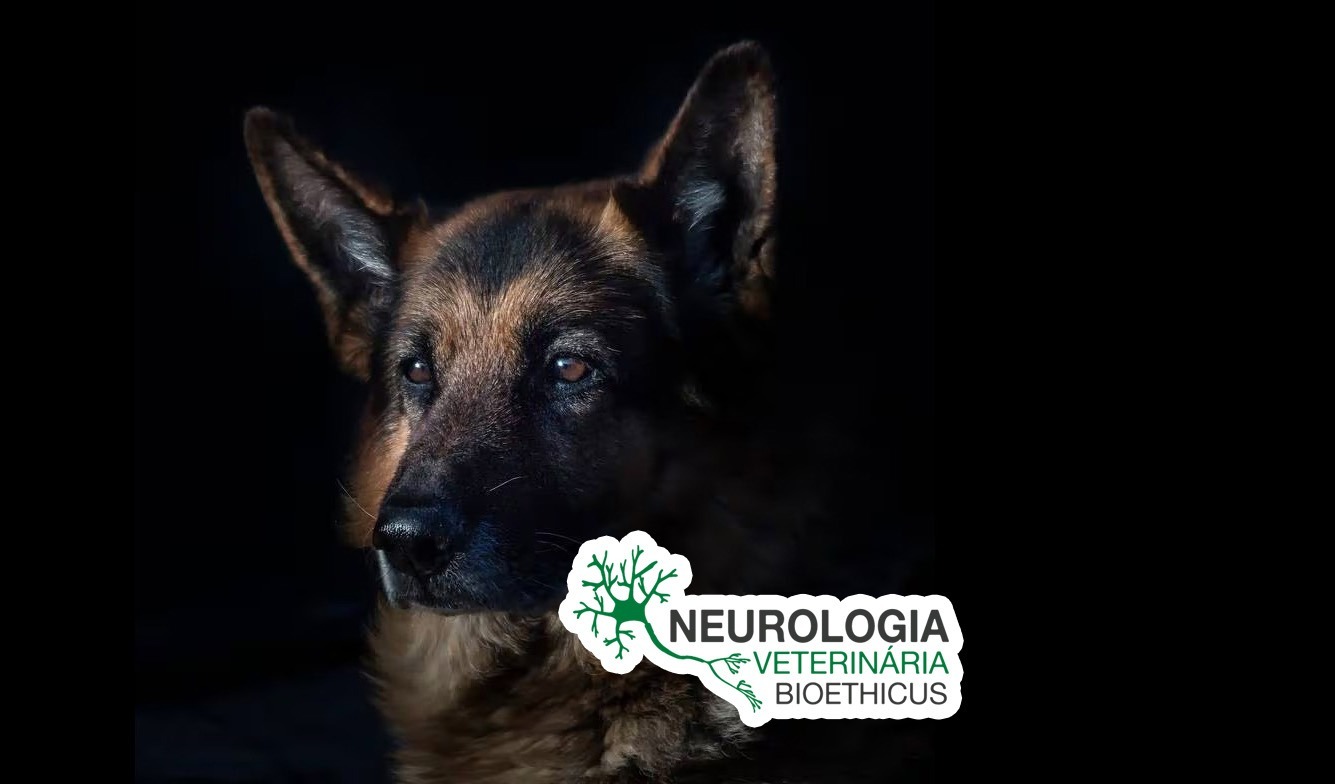 curso-de-pos-graduacao-lato-sensu-em-neurologia-veterinaria